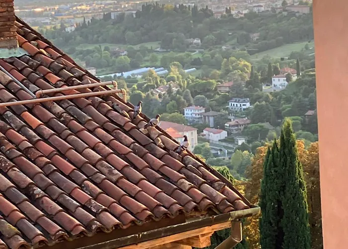 Appartamento A Casa Di Ross Bergamo